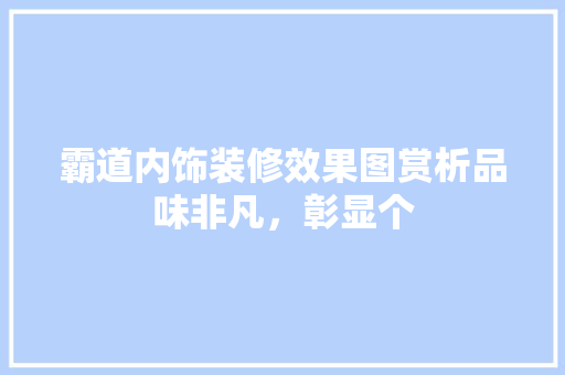 霸道内饰装修效果图赏析品味非凡，彰显个  第1张