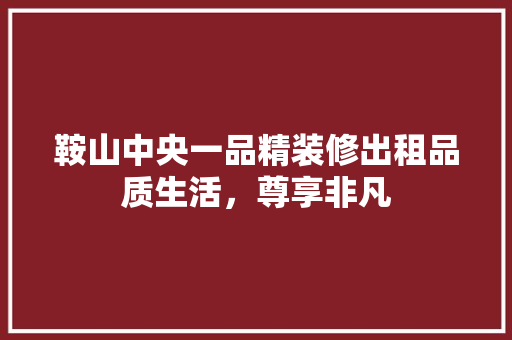 鞍山中央一品精装修出租品质生活，尊享非凡