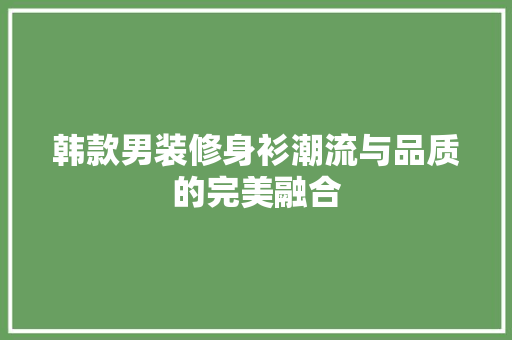 韩款男装修身衫潮流与品质的完美融合