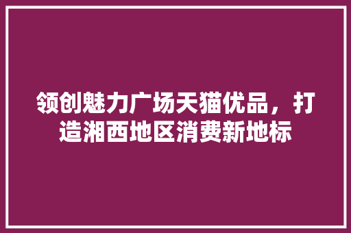 领创魅力广场天猫优品，打造湘西地区消费新地标