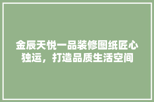 金辰天悦一品装修图纸匠心独运，打造品质生活空间  第1张
