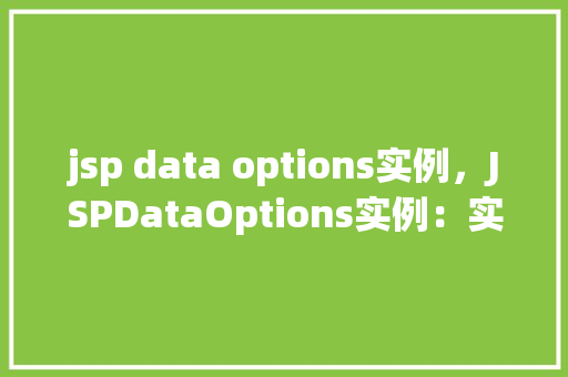 jsp data options实例，JSPDataOptions实例：实战操作指南