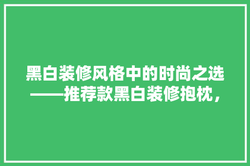黑白装修风格中的时尚之选——推荐款黑白装修抱枕，价格亲民又适用