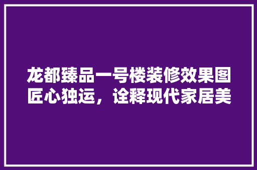 龙都臻品一号楼装修效果图匠心独运，诠释现代家居美学