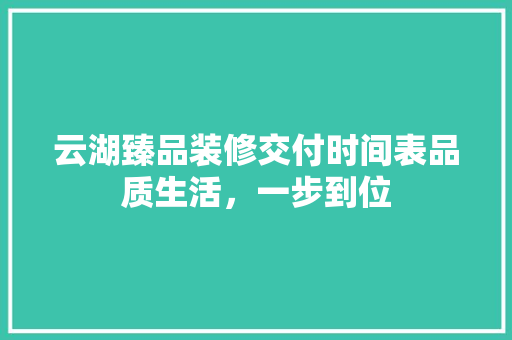 云湖臻品装修交付时间表品质生活，一步到位