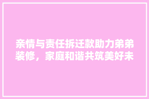 亲情与责任拆迁款助力弟弟装修，家庭和谐共筑美好未来
