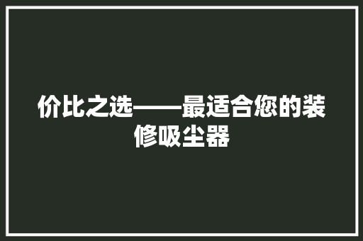 价比之选——最适合您的装修吸尘器