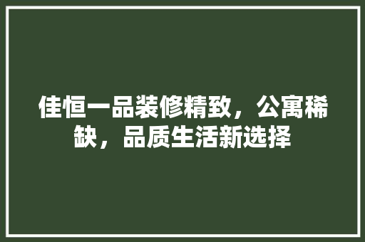 佳恒一品装修精致，公寓稀缺，品质生活新选择