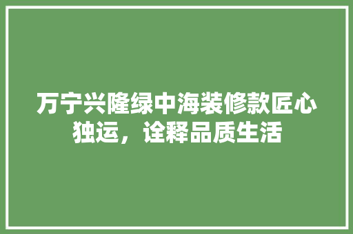 万宁兴隆绿中海装修款匠心独运，诠释品质生活