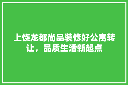 上饶龙都尚品装修好公寓转让，品质生活新起点