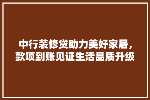 中行装修贷助力美好家居，款项到账见证生活品质升级