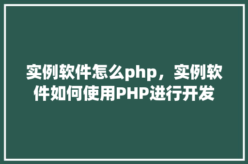 实例软件怎么php，实例软件如何使用PHP进行开发