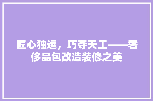 匠心独运，巧夺天工——奢侈品包改造装修之美