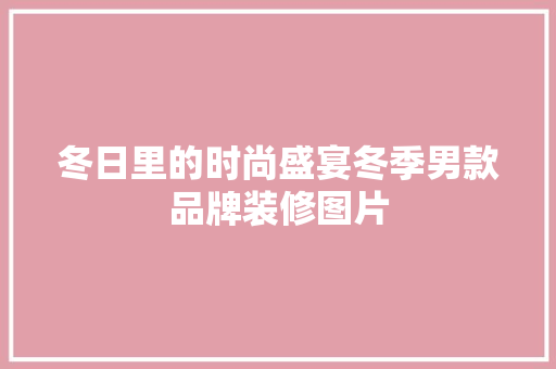 冬日里的时尚盛宴冬季男款品牌装修图片