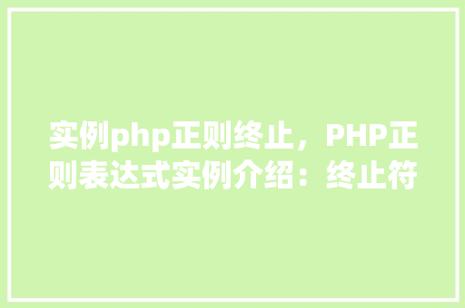 实例php正则终止，PHP正则表达式实例介绍：终止符的使用方法