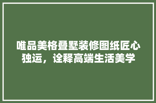 唯品美格叠墅装修图纸匠心独运，诠释高端生活美学  第1张