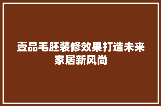 壹品毛胚装修效果打造未来家居新风尚