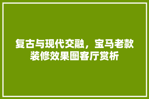 复古与现代交融，宝马老款装修效果图客厅赏析  第1张