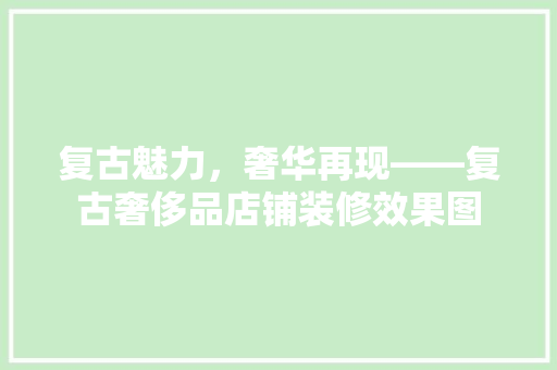 复古魅力，奢华再现——复古奢侈品店铺装修效果图
