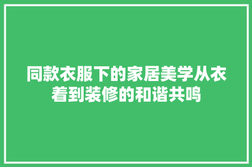 同款衣服下的家居美学从衣着到装修的和谐共鸣