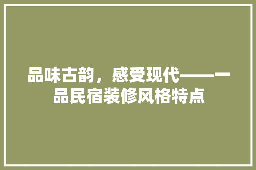 品味古韵，感受现代——一品民宿装修风格特点  第1张