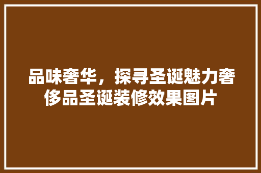 品味奢华，探寻圣诞魅力奢侈品圣诞装修效果图片  第1张