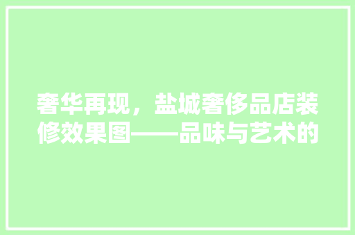 奢华再现，盐城奢侈品店装修效果图——品味与艺术的完美融合