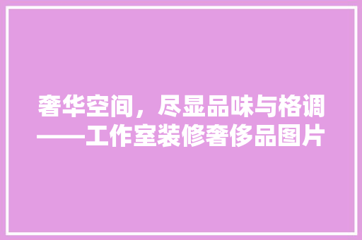 奢华空间，尽显品味与格调——工作室装修奢侈品图片欣赏