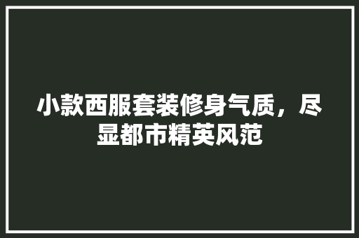 小款西服套装修身气质，尽显都市精英风范