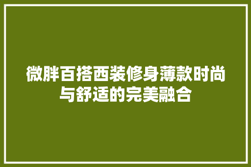 微胖百搭西装修身薄款时尚与舒适的完美融合