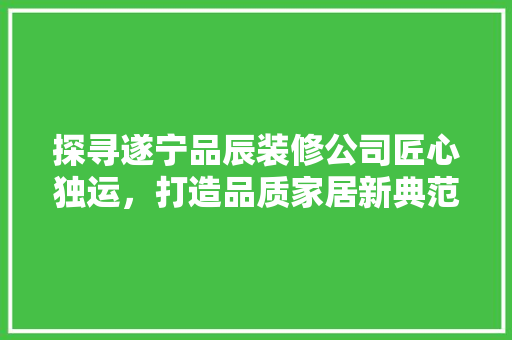 探寻遂宁品辰装修公司匠心独运，打造品质家居新典范