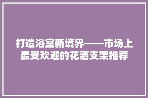 打造浴室新境界——市场上最受欢迎的花洒支架推荐
