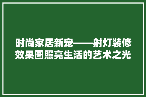 时尚家居新宠——射灯装修效果图照亮生活的艺术之光