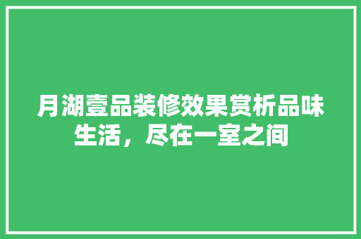 月湖壹品装修效果赏析品味生活，尽在一室之间