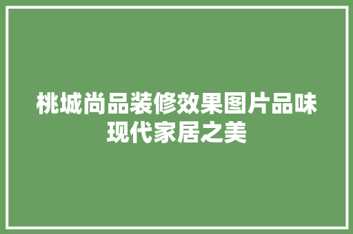 桃城尚品装修效果图片品味现代家居之美