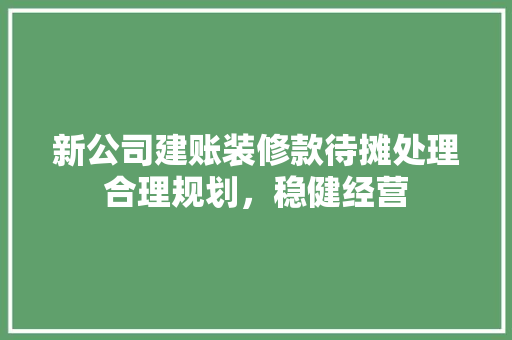 新公司建账装修款待摊处理合理规划，稳健经营