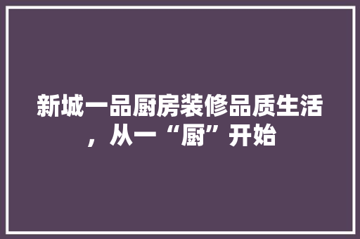 新城一品厨房装修品质生活，从一“厨”开始