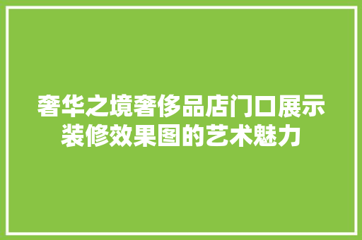 奢华之境奢侈品店门口展示装修效果图的艺术魅力
