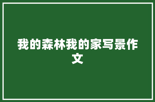 燃气灶选购指南如何根据装修风格选择最适合的燃气灶