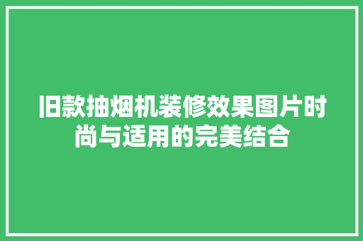 旧款抽烟机装修效果图片时尚与适用的完美结合