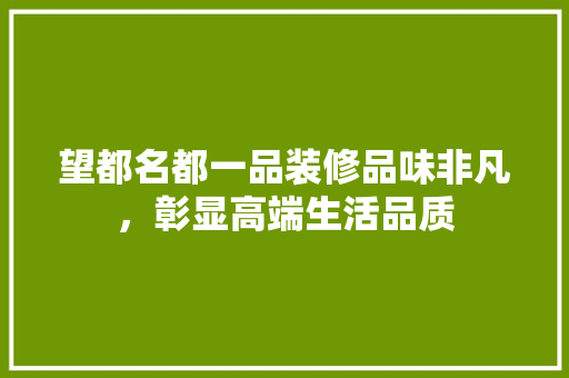 望都名都一品装修品味非凡，彰显高端生活品质