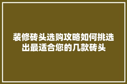 装修砖头选购攻略如何挑选出最适合您的几款砖头