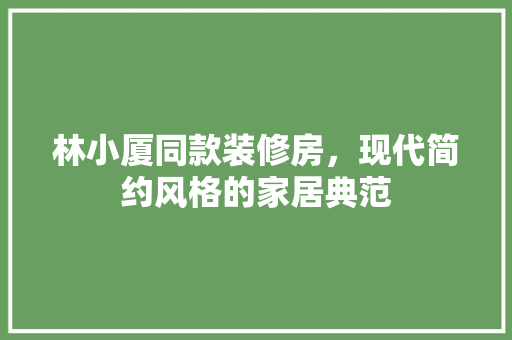林小厦同款装修房，现代简约风格的家居典范