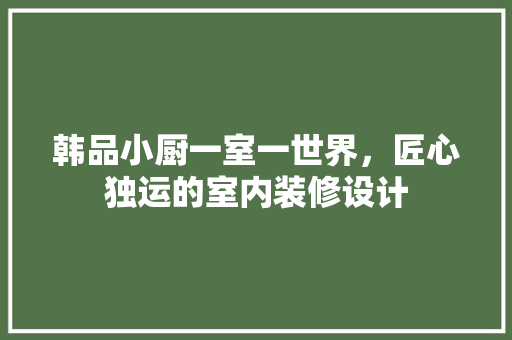 韩品小厨一室一世界，匠心独运的室内装修设计