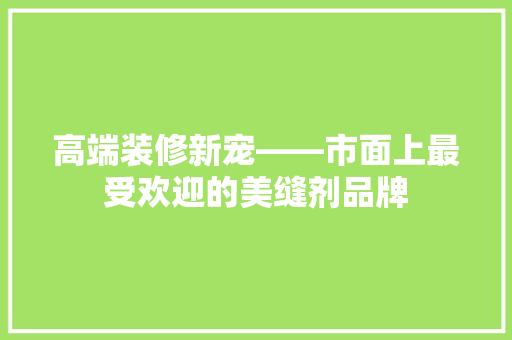 高端装修新宠——市面上最受欢迎的美缝剂品牌