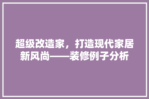 超级改造家，打造现代家居新风尚——装修例子分析