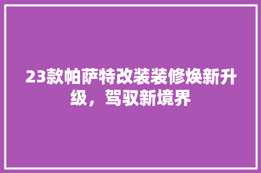 23款帕萨特改装装修焕新升级，驾驭新境界
