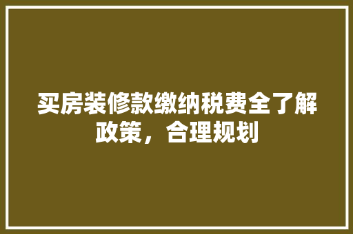 买房装修款缴纳税费全了解政策，合理规划