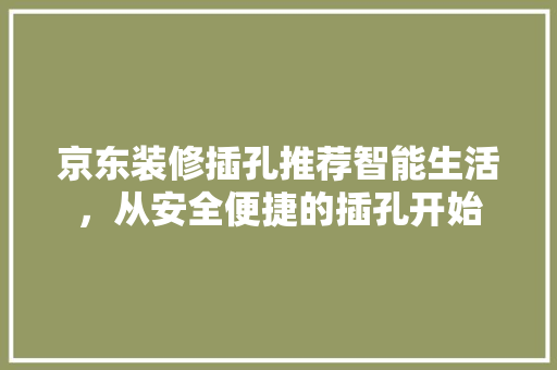 京东装修插孔推荐智能生活，从安全便捷的插孔开始