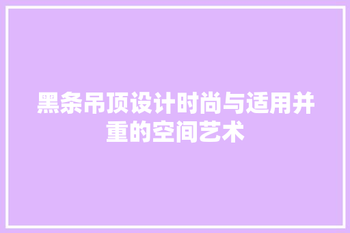 黑条吊顶设计时尚与适用并重的空间艺术